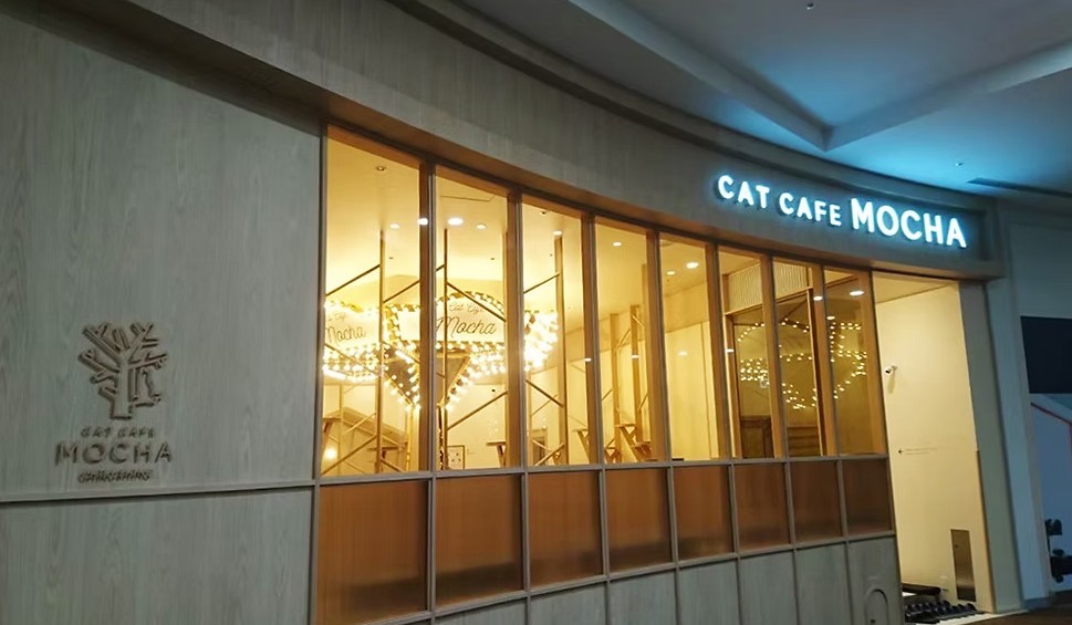 株式会社インプルーヴ店舗内装事業実績画像